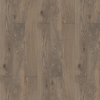 Дуб Поло 1-полосный